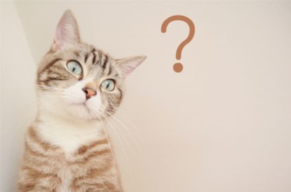 ご入居者様へ 年年末年始のごみ収集について 新潟市 株式会社クリムト